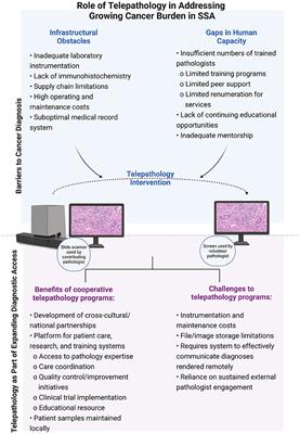 The role of telepathology in improving cancer diagnostic and research capacity in sub-Saharan Africa